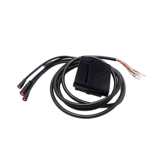 Display Dualtron Togo 36V 48V 2