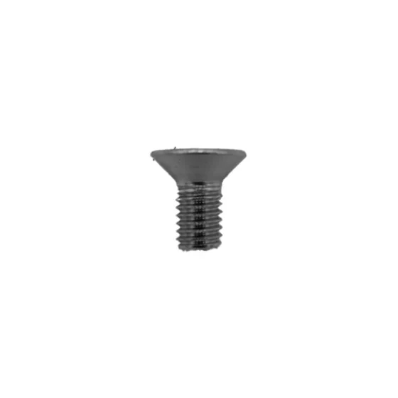 Vis Folding Dualtron Inox X10Pcs